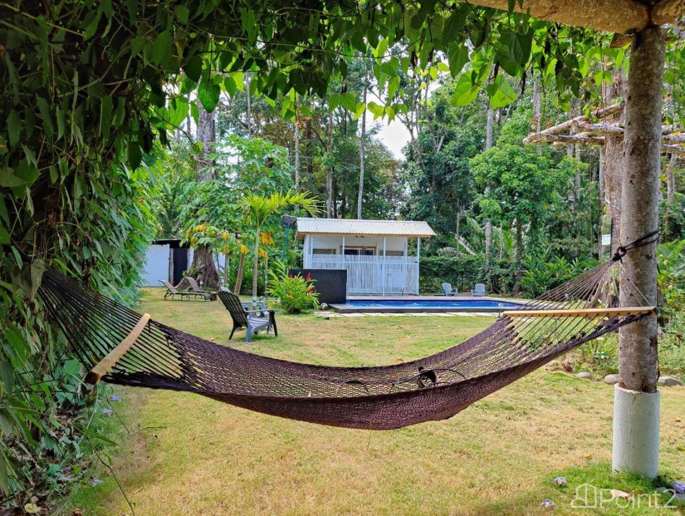 Olivia Del Caribe Suite Puerto Viejo de Talamanca Kültér fotó