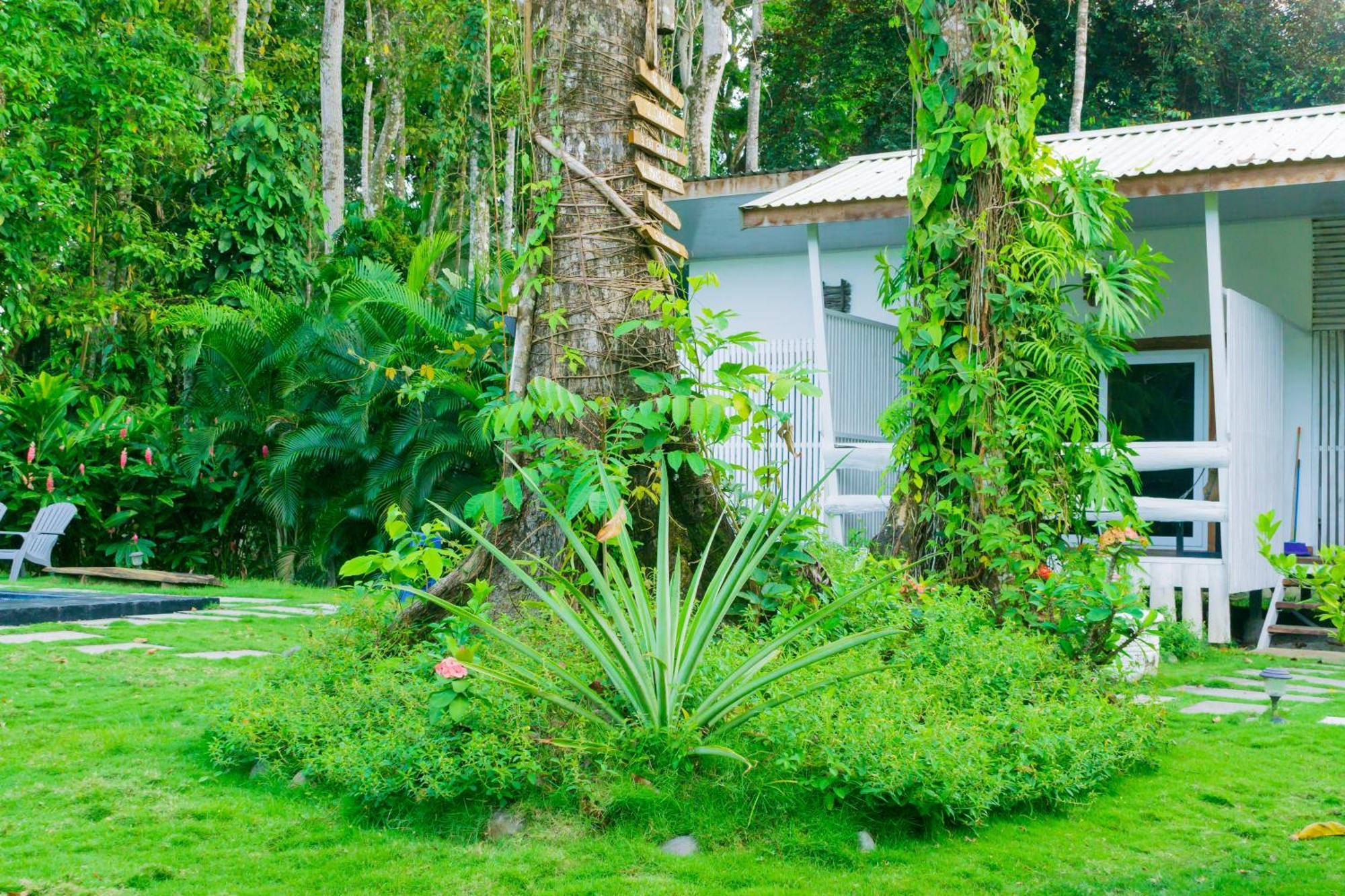 Olivia Del Caribe Suite Puerto Viejo de Talamanca Kültér fotó