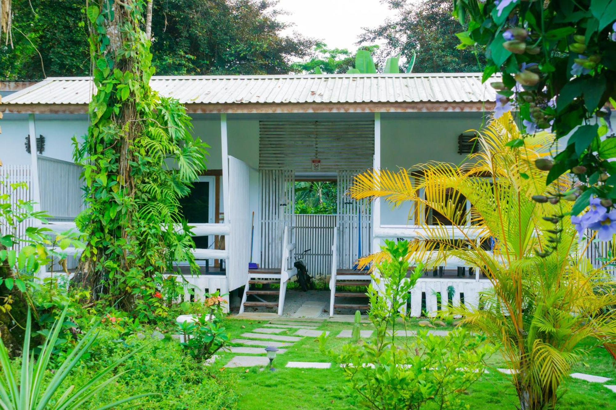 Olivia Del Caribe Suite Puerto Viejo de Talamanca Kültér fotó