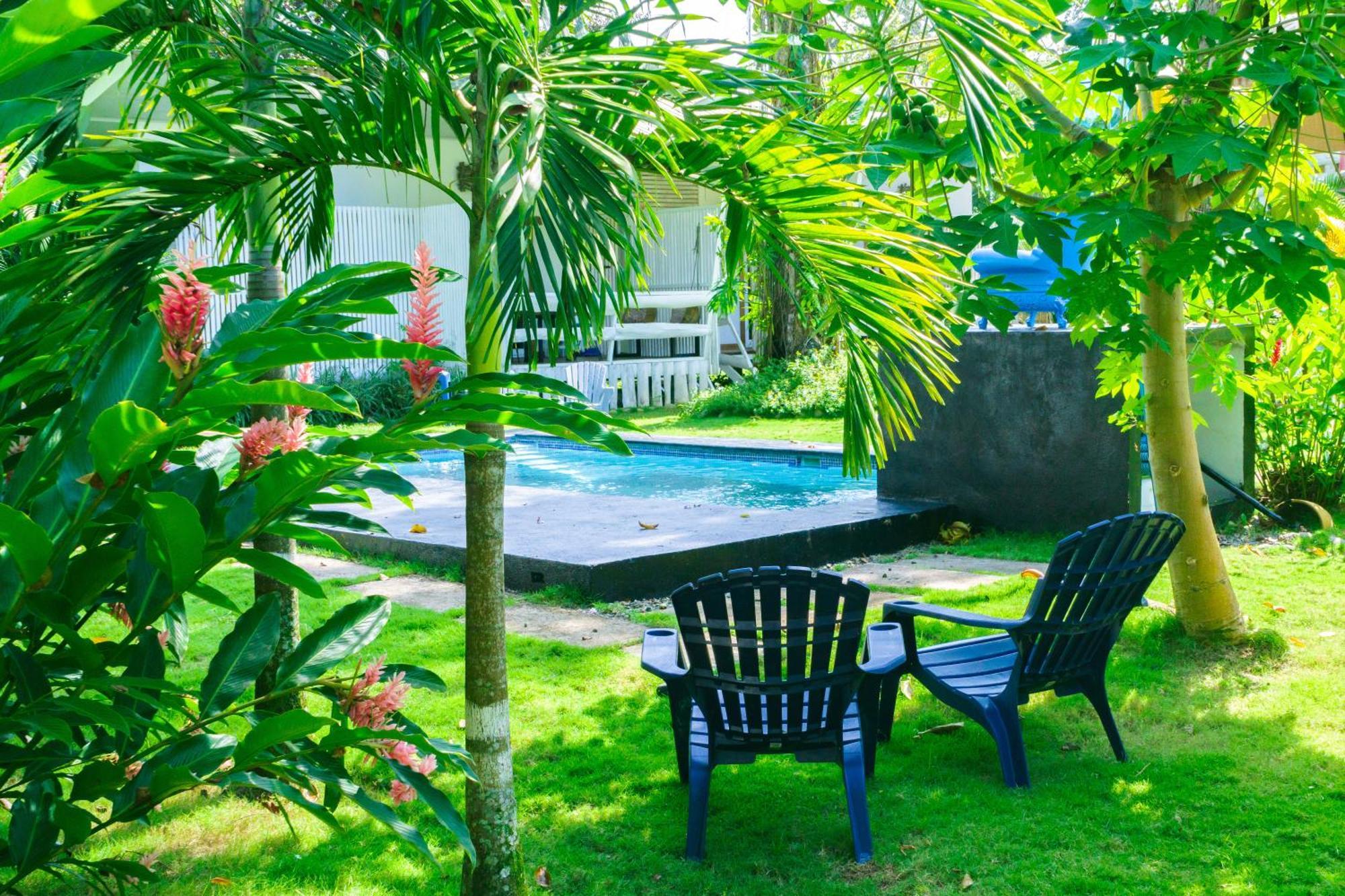 Olivia Del Caribe Suite Puerto Viejo de Talamanca Kültér fotó