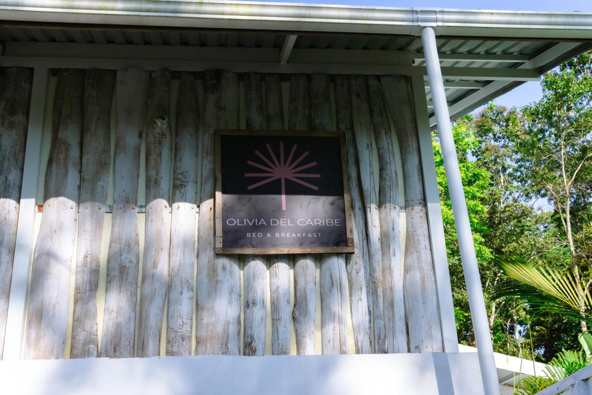 Olivia Del Caribe Suite Puerto Viejo de Talamanca Kültér fotó