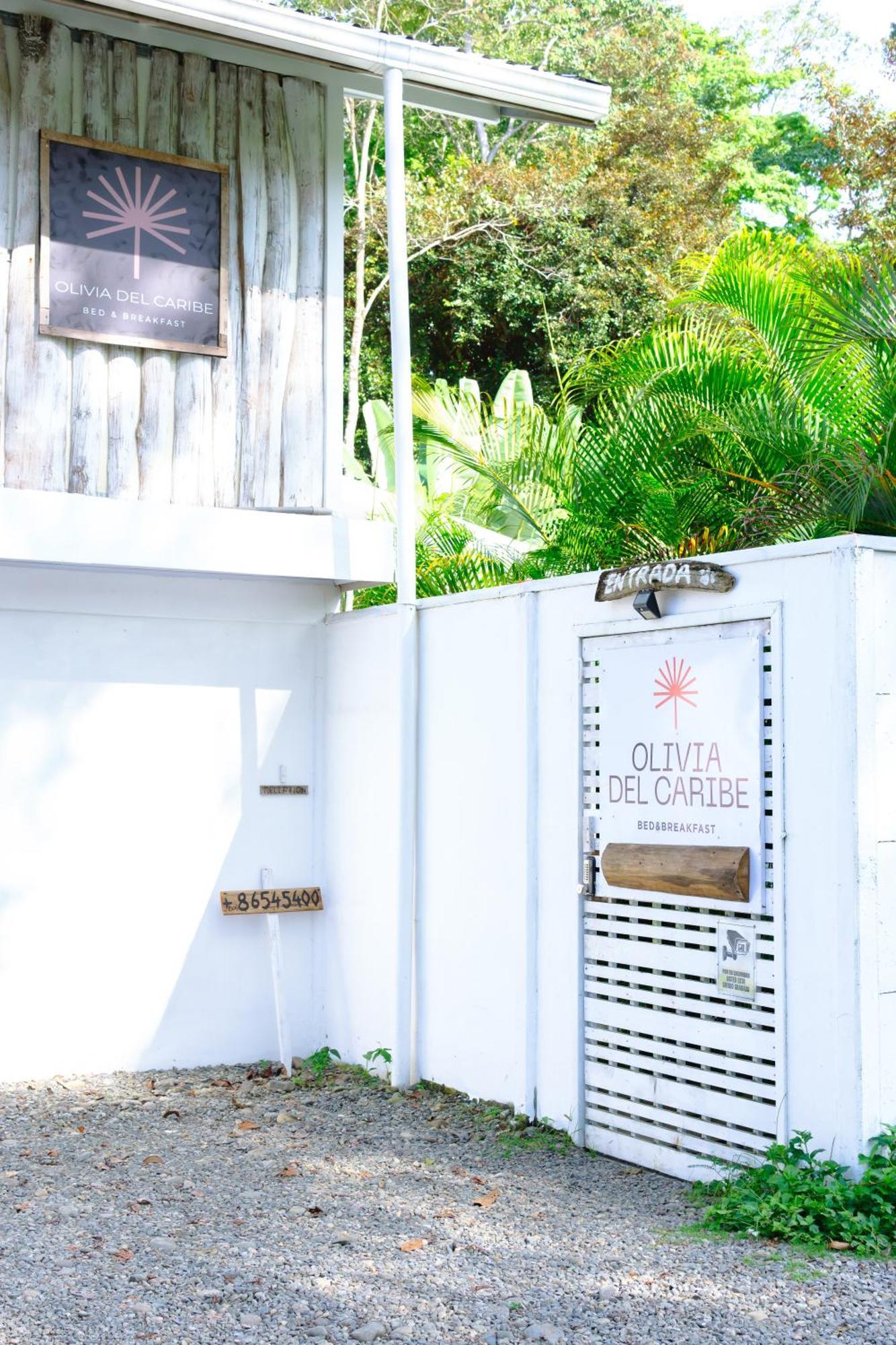 Olivia Del Caribe Suite Puerto Viejo de Talamanca Kültér fotó
