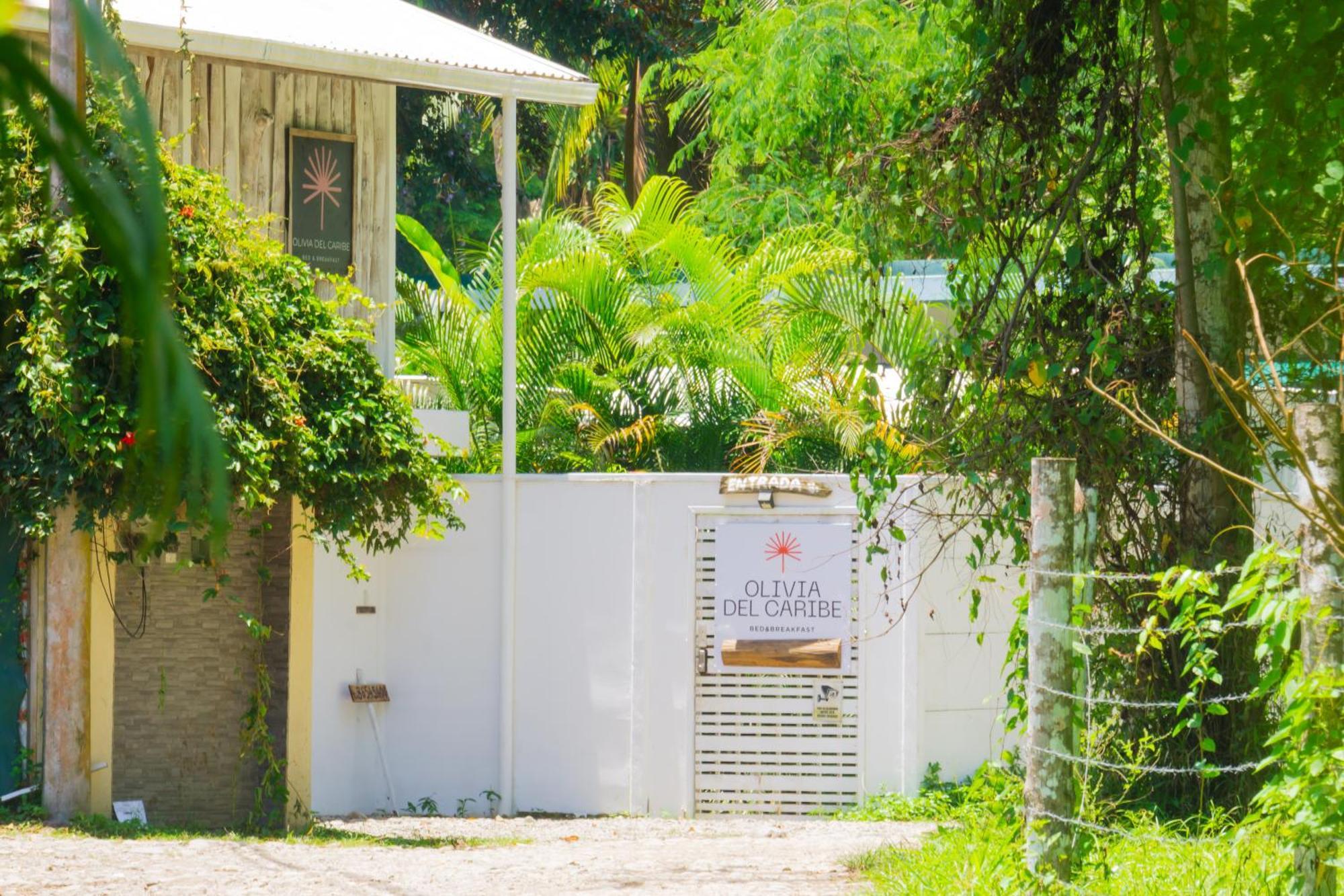 Olivia Del Caribe Suite Puerto Viejo de Talamanca Kültér fotó